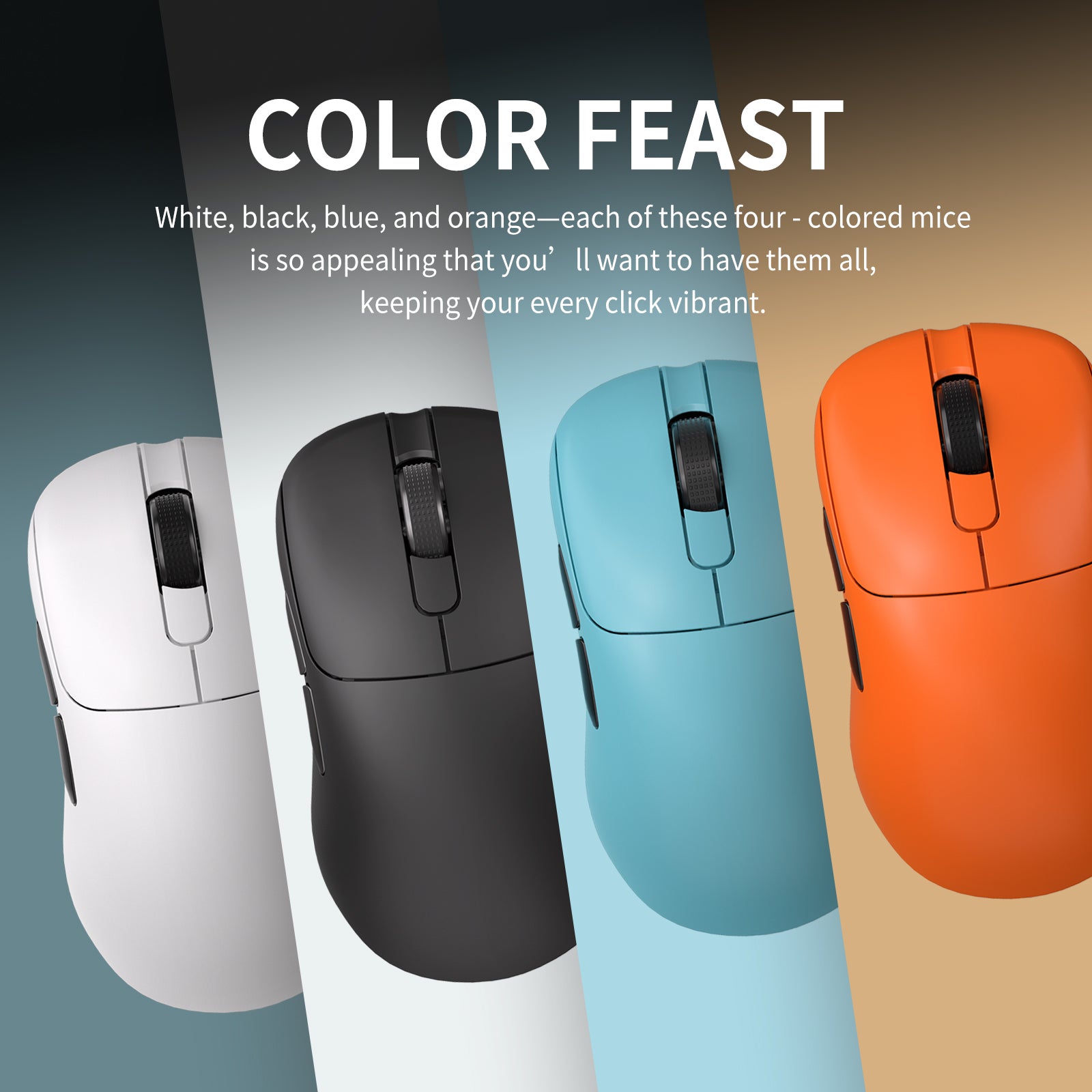 AJAZZ AJ179 APEX — 14