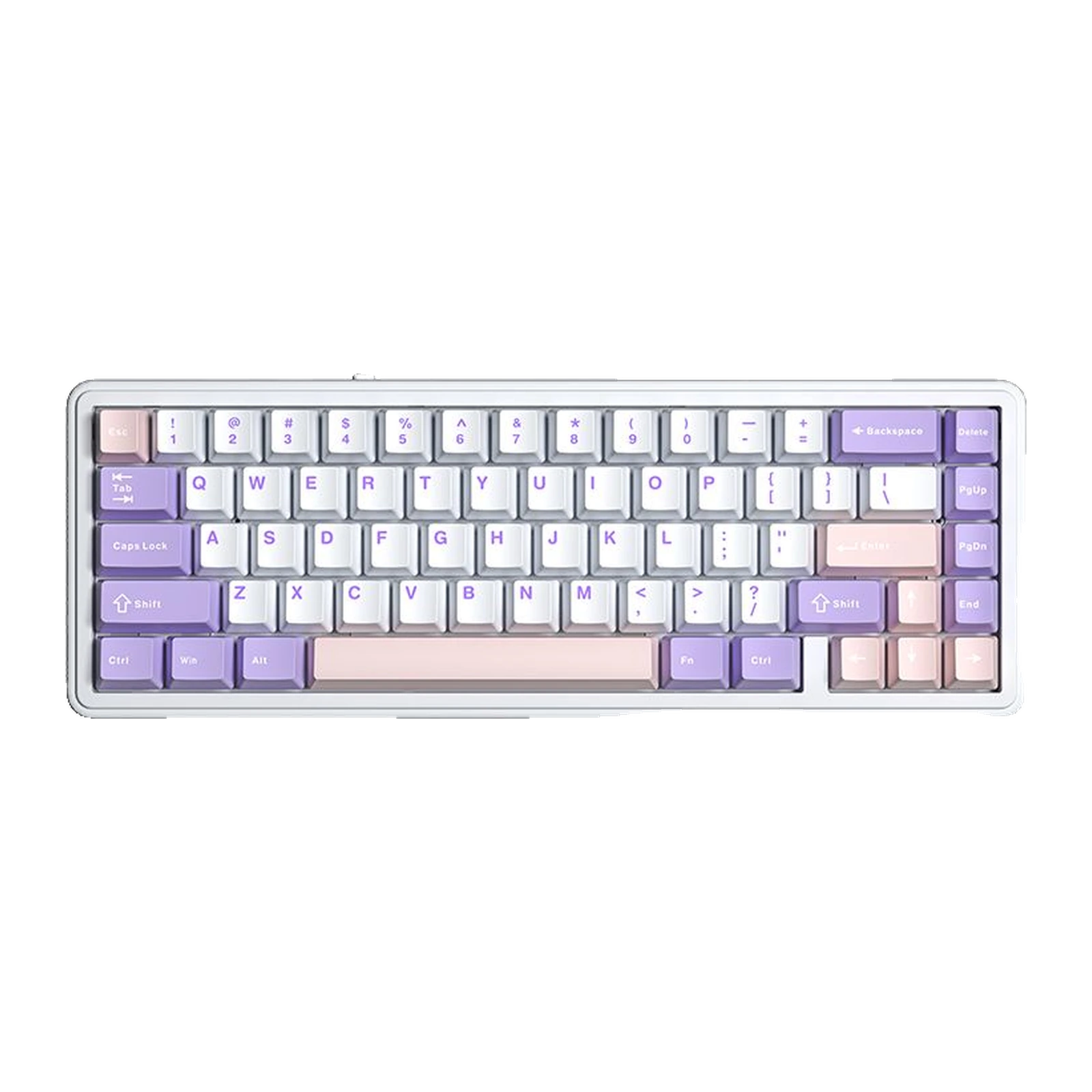 AULA F65, White + Purple + Pink