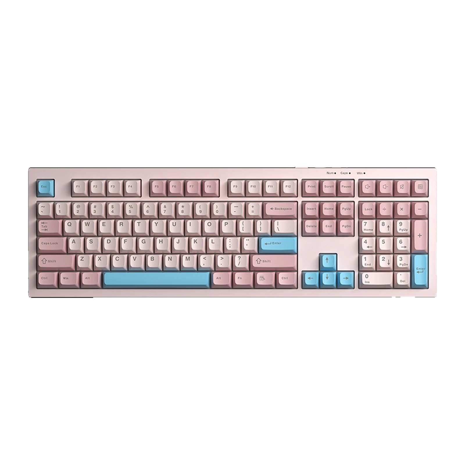 AULA S102, светло-розовый + голубой + тёмно-розовый