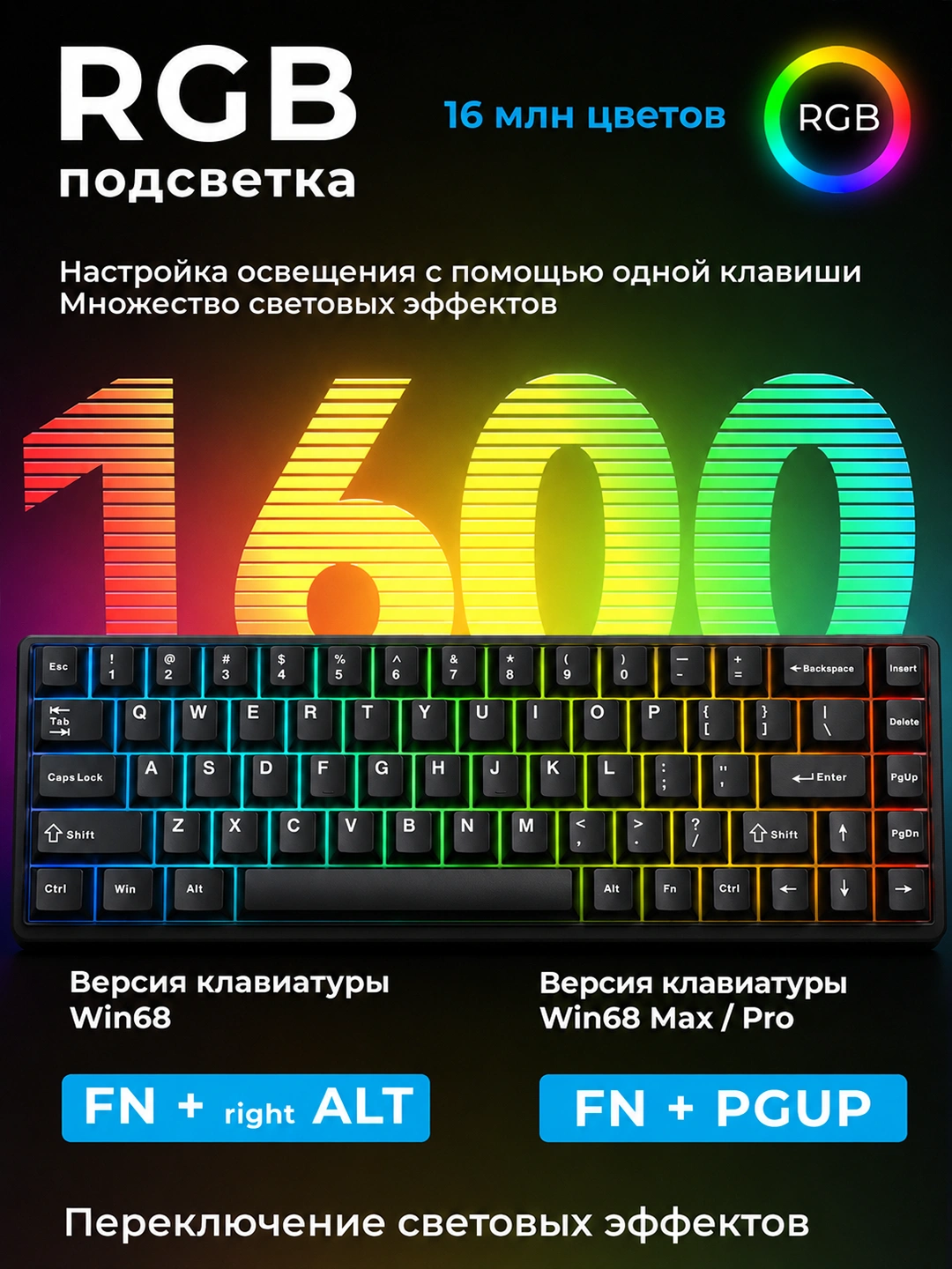 AULA WIN68 HE — photo 6